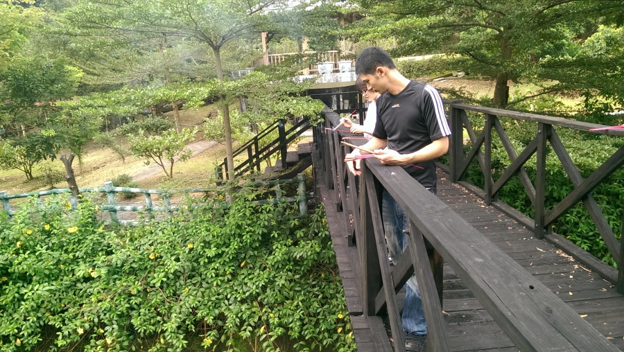 images/forum/2014/2014-09-08 15.24.58.jpg